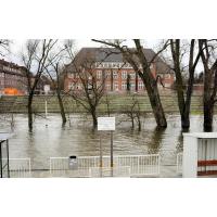 10899_0745 Hochwasser beim Finkenwerder Anleger - Bäume im Wasser. | 